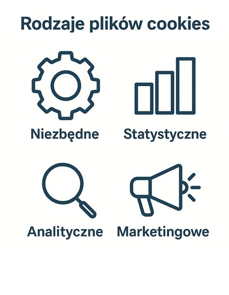 infografika przedstawiająca podział plików cookies na rodzaje