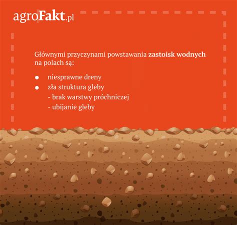Zagrożenia kamieni w glebie dla maszyn rolniczych i upraw - infografika