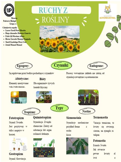 Infografika: Rodzaje regulacji pługa
