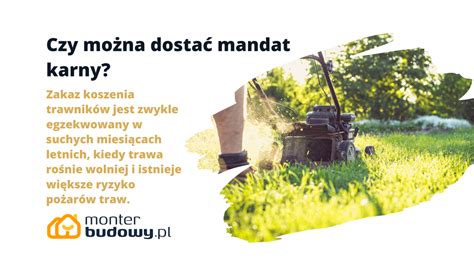 Infografika porownujaca szerokosci koszenia do wielkosci trawnika