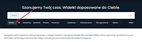 Zrzut ekranu z dostępnymi kategoriami i filtrami wyszukiwania kosiarek na OLX