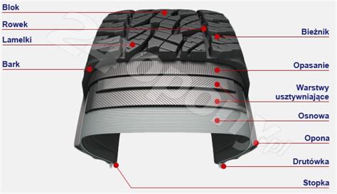 schemat budowy opony z zaznaczonym bieżnikiem i boczną ścianką