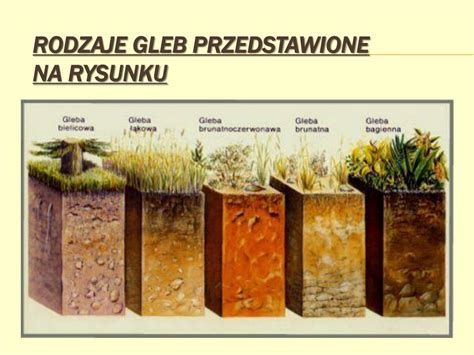 Infografika przedstawiająca różne rodzaje gleb i odpowiednie sadzarki
