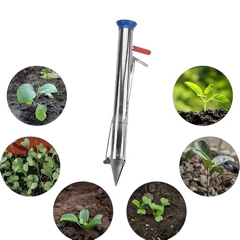 Zdjęcie procesu przygotowywania i sadzenia sadzonek żurawiny