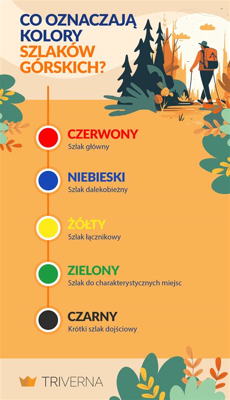 Tabela przedstawiająca rodzaje kontrolek, ich kolory i przykładowe znaczenie.