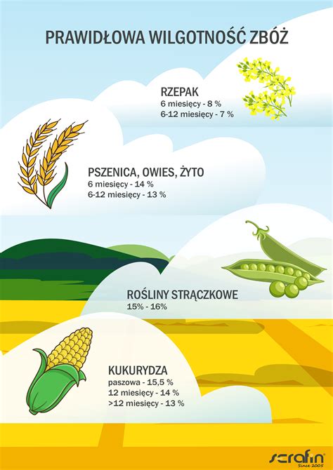 infografika przedstawiająca, jak mierzyć zużycie i nożycowatość wideł