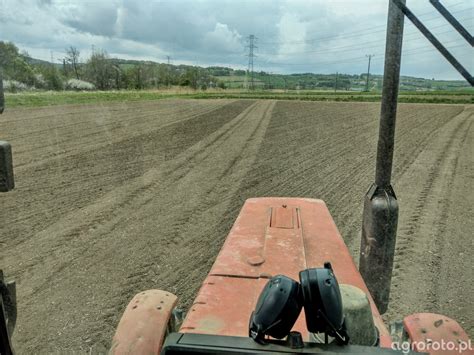 Zdjęcie pola po siewie bezorkowym siewnikiem Unia MAZUR