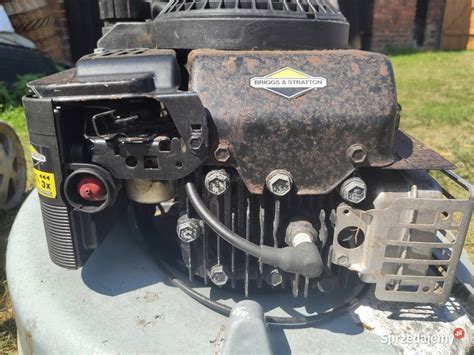 porównanie silników do kosiarek Briggs & Stratton, Tecumseh, Honda
