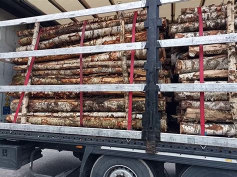 Zdjęcie ilustrujące nieprawidłowo zabezpieczony ładunek drewna na przyczepie