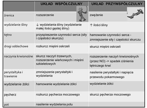 Porównanie układu jednoosiowego i tandemowego w rozrzutniku