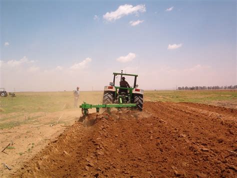 fotografia: traktor z podłączonym pługiem na tle pola
