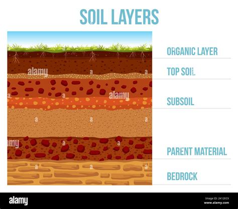 Infographics showing the cross-section of soil before and after tilling by a petrol tiller, illustrating improved aeration and moisture retention