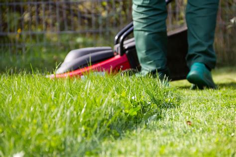 Zdjęcie zbliżenia na kosiarkę podczas koszenia wzdłuż krawędzi