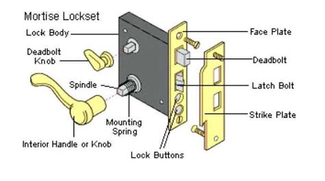 Diagram showing the adjustable handle and wheel lock mechanism of a tiller
