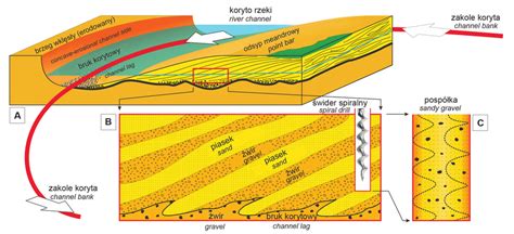 Schemat działania sadzarki ziemniaczanej, pokazujący proces umieszczania sadzonki w glebie i regulację głębokości.