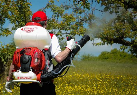 Opryskiwacz spalinowy plecakowy Cifarelli M1200 w trakcie pracy w sadzie