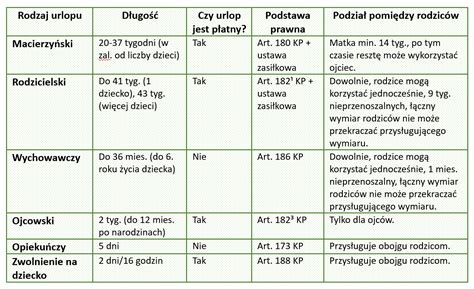 koparkoładowarka z różnymi typami łyżek