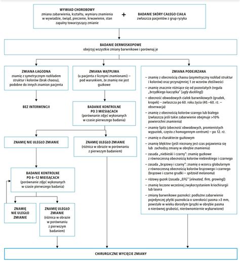 Schemat procesu badań lekarskich i psychotechnicznych dla operatorów wózków widłowych