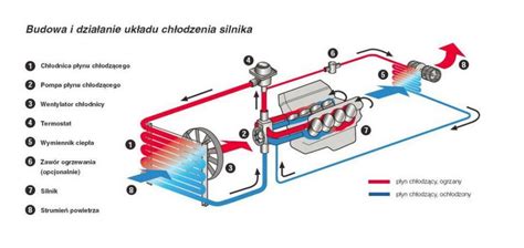Schemat układu chłodzenia silnika z zaznaczoną pompą wody
