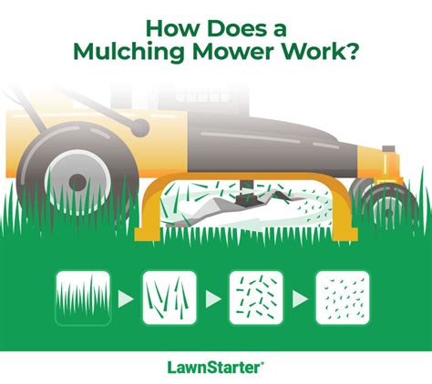 Infographic showing the mulching function and side discharge of the lawnmower
