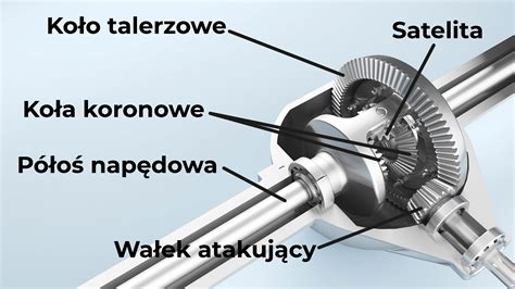 schemat budowy mechanizmu różnicowego w moście napędowym