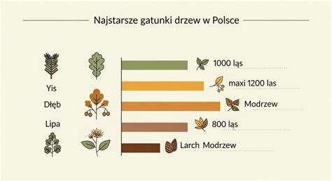 infografika porównująca metody aplikacji gnojowicy (doglebowe vs. naglebowe)