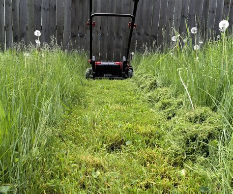 Thematic photo of a flail mower working in tall grass or overgrown terrain