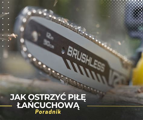 kolaż zdjęć przedstawiający różne produkty NAC: kosiarkę, podkaszarkę, piłę łańcuchową