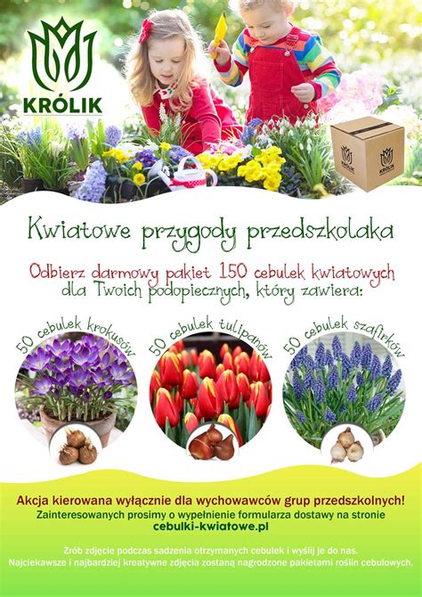 Zdjęcie osoby sadzącej cebulki kwiatowe za pomocą sadzarki ręcznej