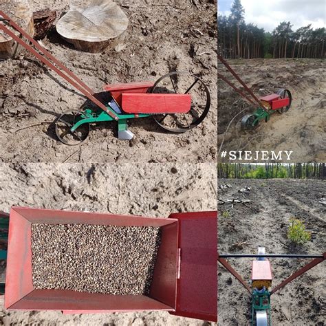 schemat mechanizmu wysiewu ziarna w siewniku punktowym