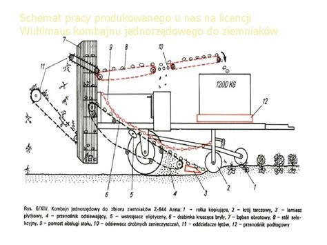 Schemat działania sadzarki jednorzędowej