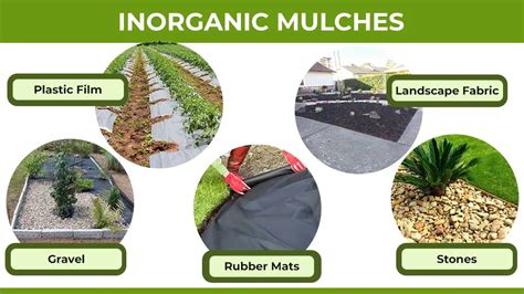 Photo showing different cutting modes: mulching, collecting, rear discharge