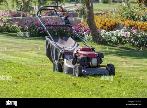 Thematic photo of a modern gasoline lawn mower with drive in a garden