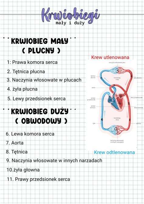Schemat przedstawiający różnice w ubarwieniu i budowie płetw pomiędzy prawdziwą kosiarką a fałszywą kosiarką