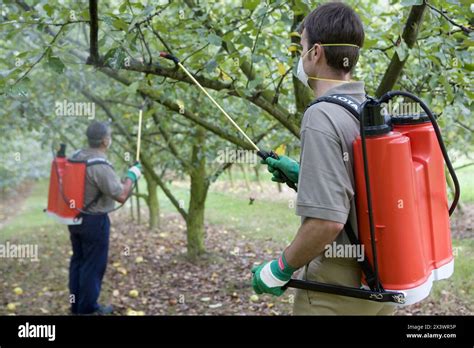 Thematic photo of a person using a pressure sprayer in a garden or orchard