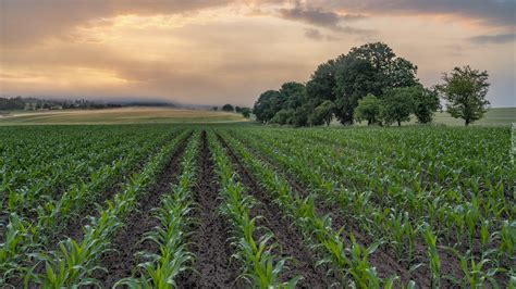 Galeria zdjęć bron aktywnych w akcji: w polu, z różnymi ciągnikami, pokazujące strukturę gleby po pracy