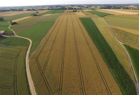 Schemat przedstawiający ścieżki technologiczne na polu uprawnym