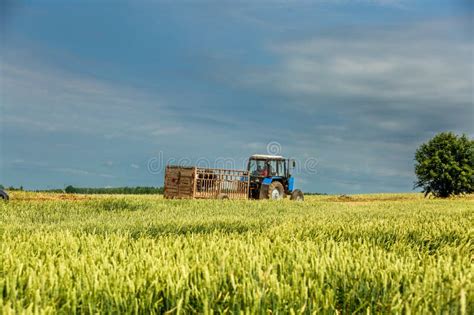 Thematic photo of a Belarus tractor at work in the field