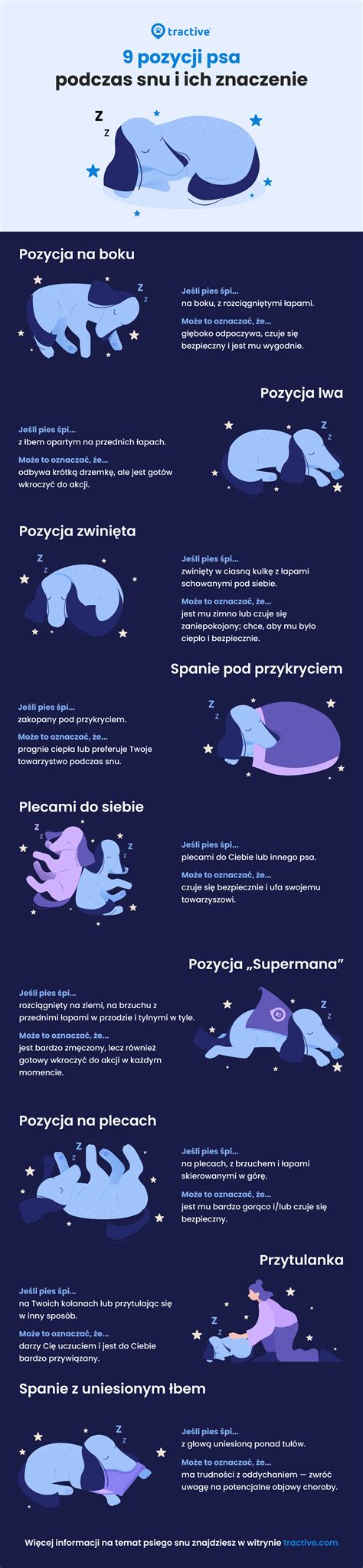 Infografika prezentująca prawidłowe i nieprawidłowe pozycje wideł oraz masztu podczas jazdy