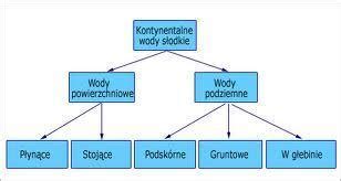 Schemat przedstawiający podział maszyn BOMAG na kategorie i podkategorie.