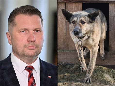 Przekrój adaptera bijakowego z bijakami na łańcuchach