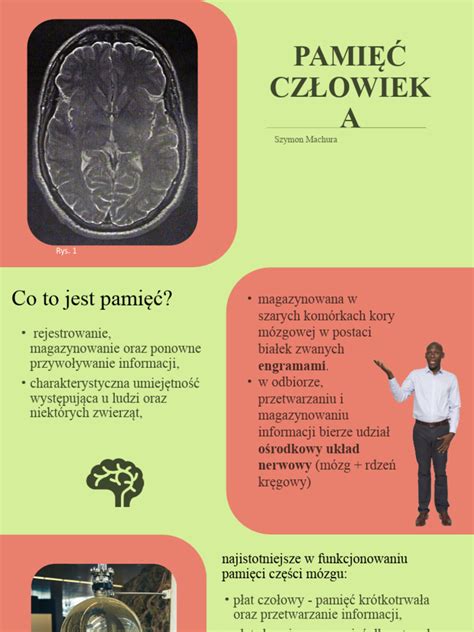 infografika przedstawiająca psychologiczną barierę motogodzin vs. realną żywotność silnika