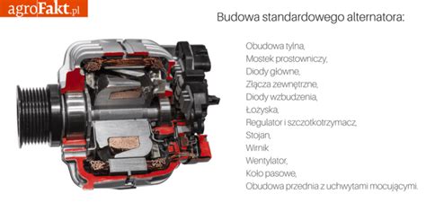 Przekrój budowy standardowego alternatora