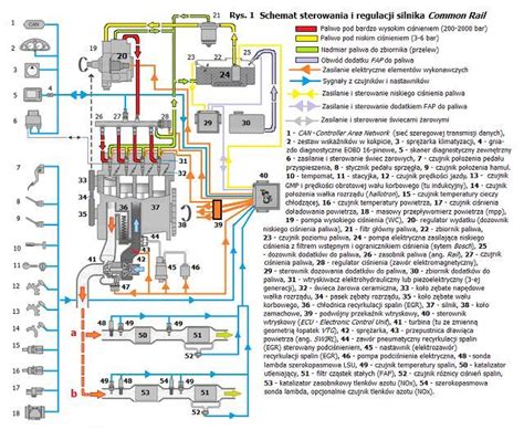 Schemat budowy silnika JCB Dieselmax z wyszczególnieniem układu wtryskowego
