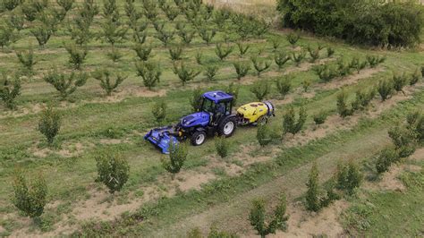 Schematyczny rysunek kompaktowego ciągnika sadowniczego New Holland T4F/S w akcji.