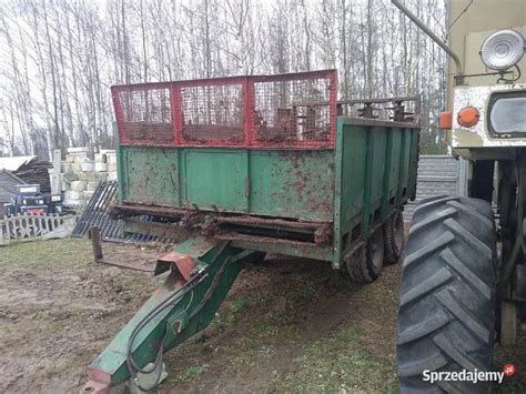 zdjęcie rozrzutnika obornika Fortschritt T-088 w akcji na polu
