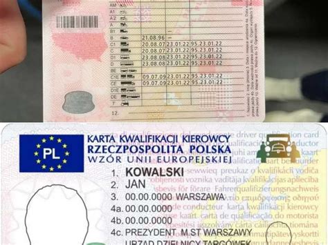 infografika przedstawiająca wymagane dokumenty i uprawnienia kierowcy zawodowego