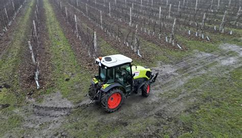 Ciągnik Claas Nexos 230 VE pracujący w sadzie jabłkowym