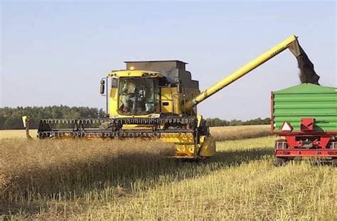 Grafika porównująca zbiór rzepaku z użyciem standardowego i wydłużonego stołu hedera.