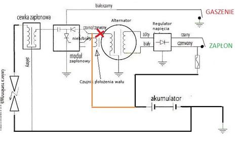 Schemat budowy szlifierki mimośrodowej z zaznaczonymi elementami: silnik, tarcza szlifierska, mechanizm mimośrodowy, system odprowadzania pyłu.